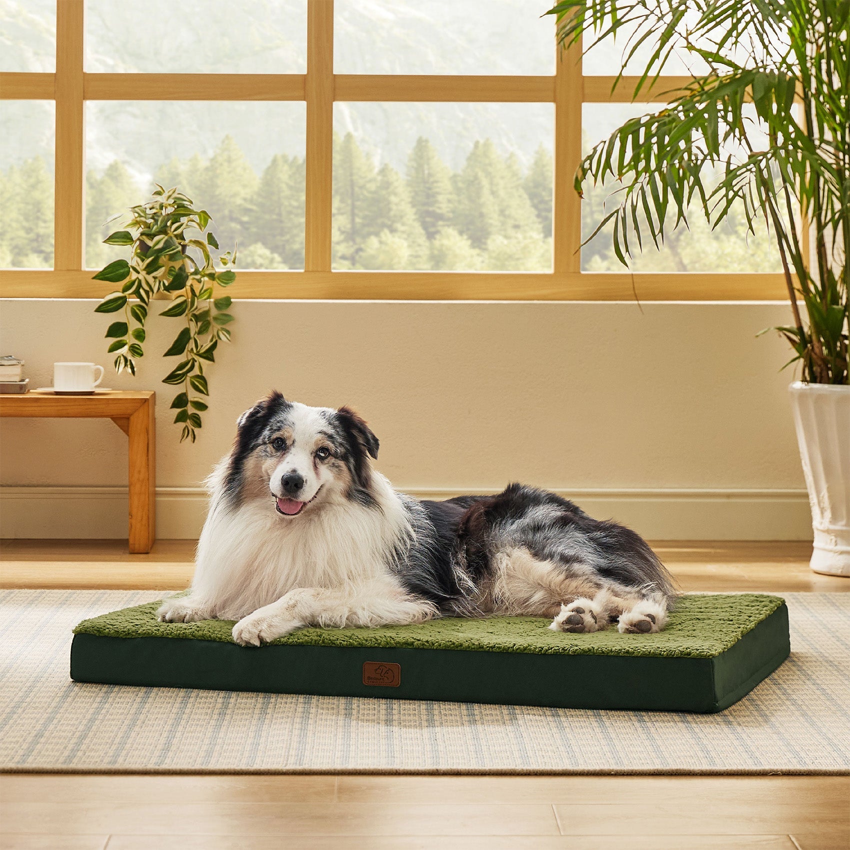 Large Orthopedic Washable Dog Bed
