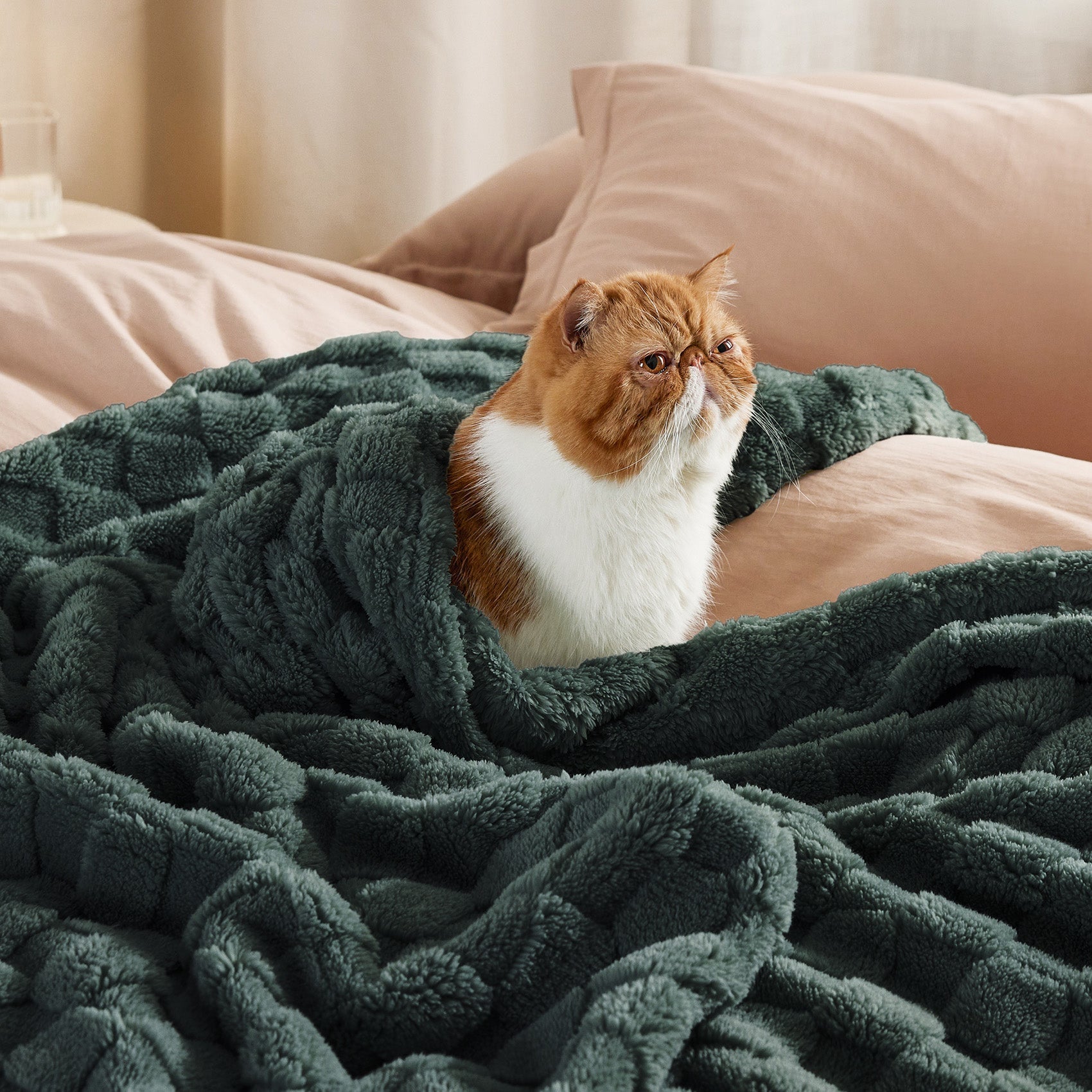 Jacquard Shaggy Sherpa Blanket