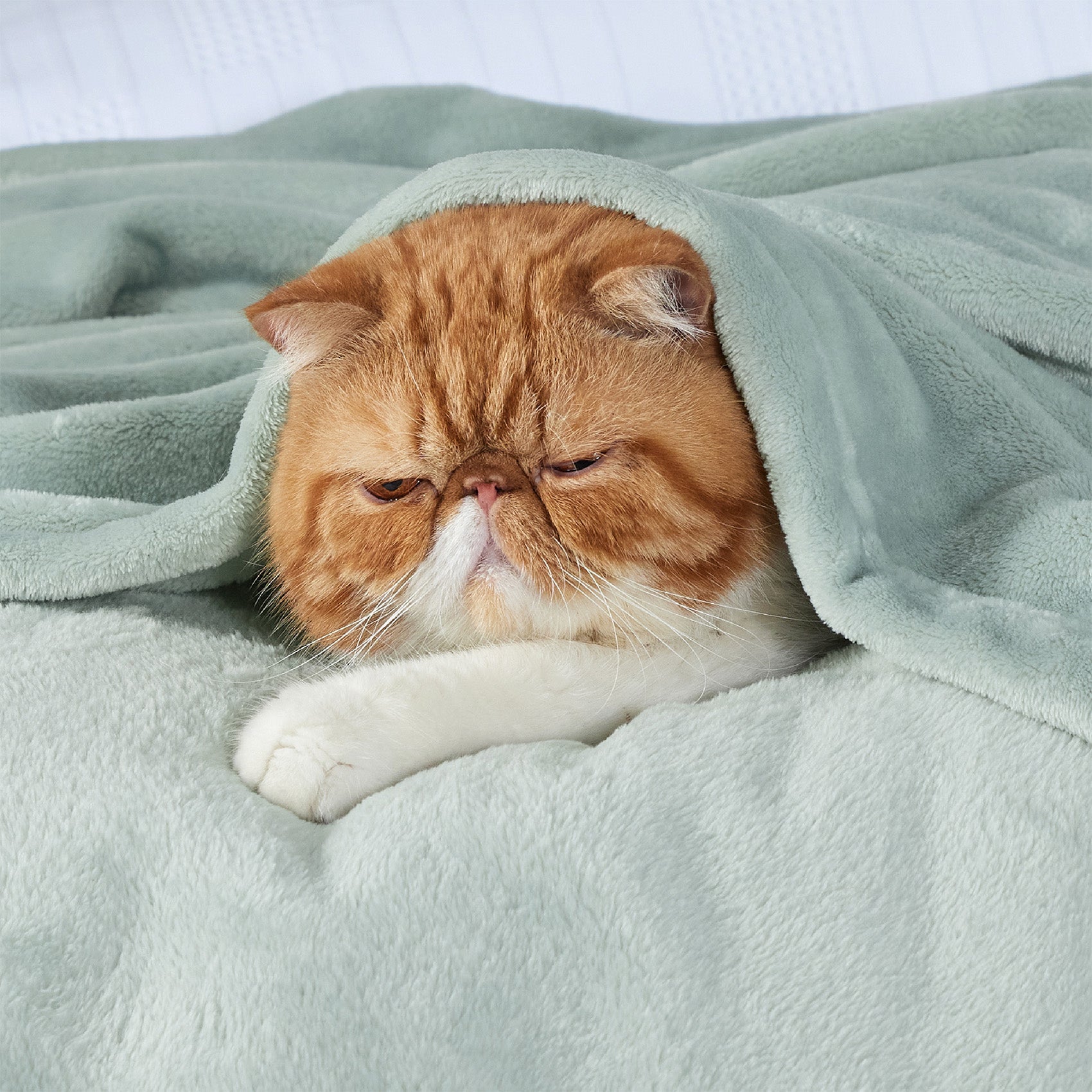 Flannel Fleece Blanket 280gsm