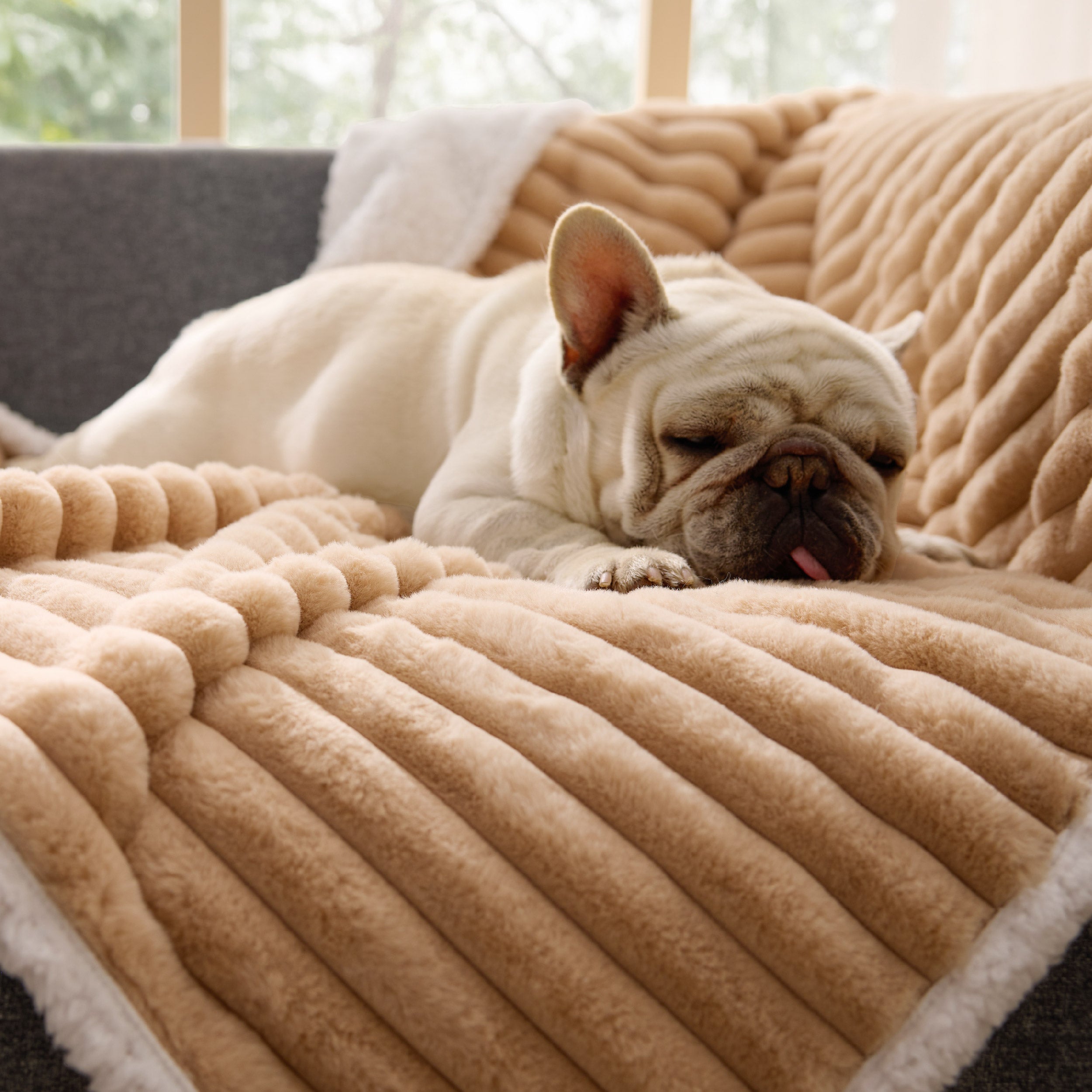 Corduroy Fleece Pet Blanket
