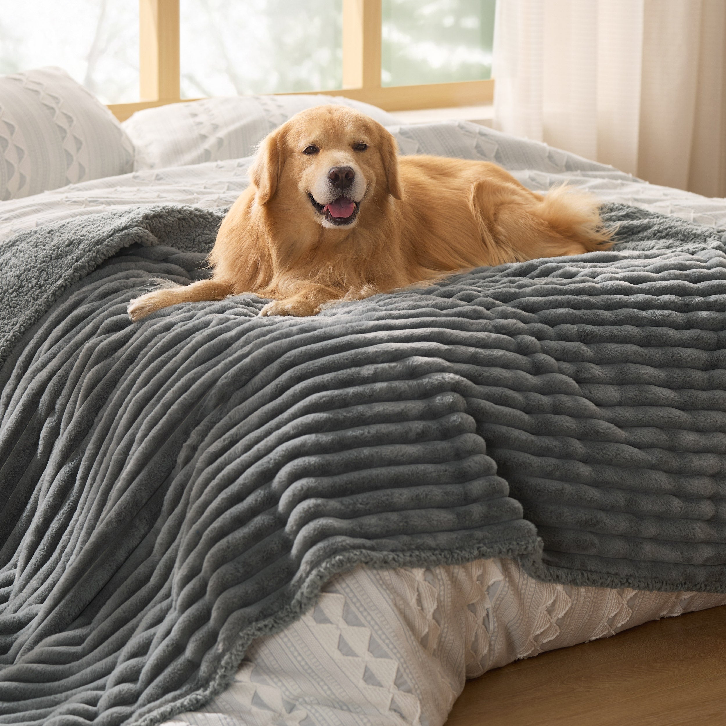 Corduroy Fleece Pet Blanket