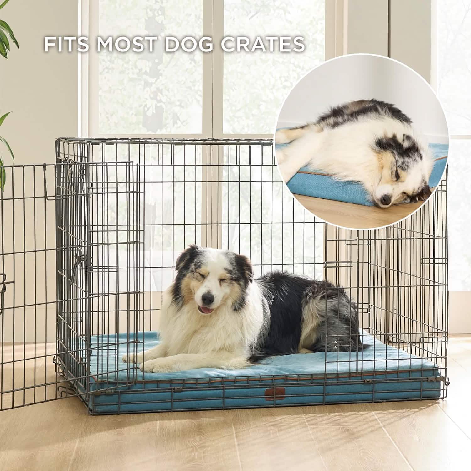 Orthopedic Memory Foam Dog Bed