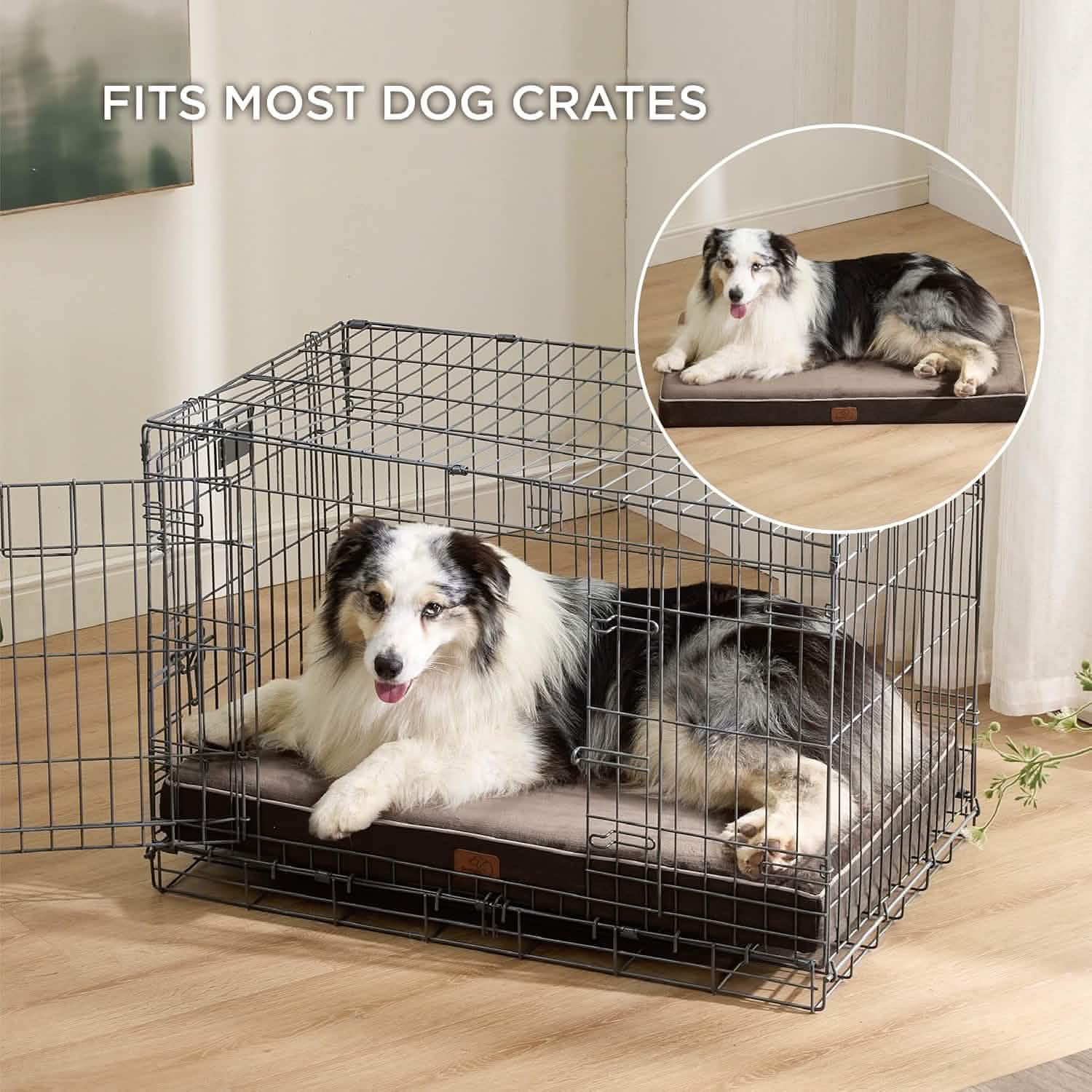 Orthopedic Memory Foam Dog Bed