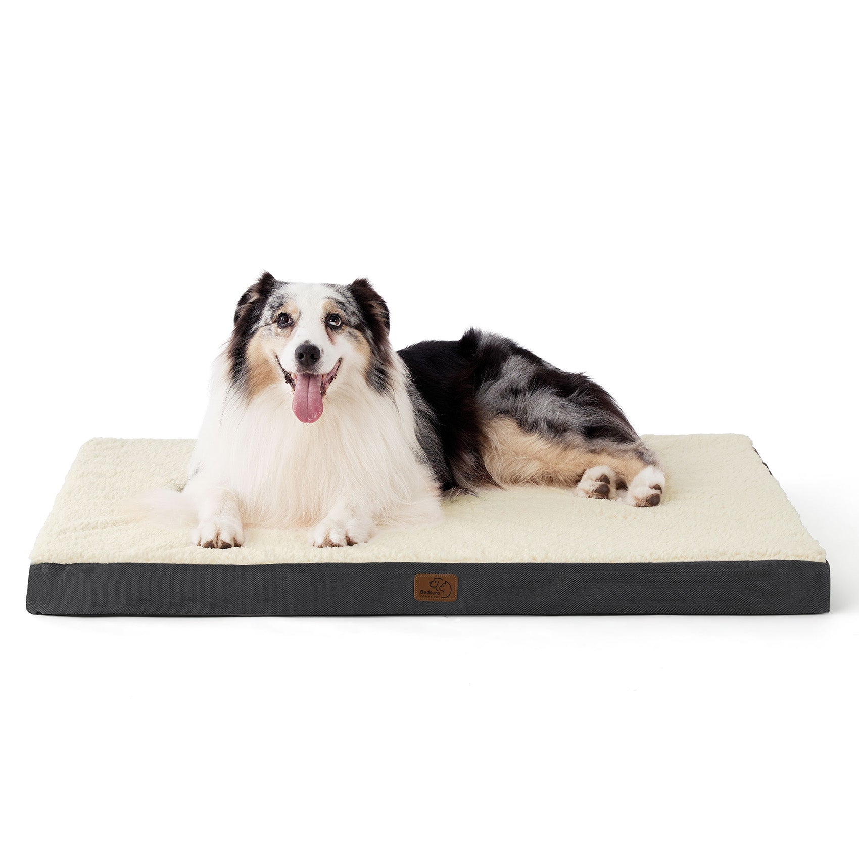 Large orthopedic dog bed, cream Sherpa top, dark gray sides, featuring happy marbled dog.