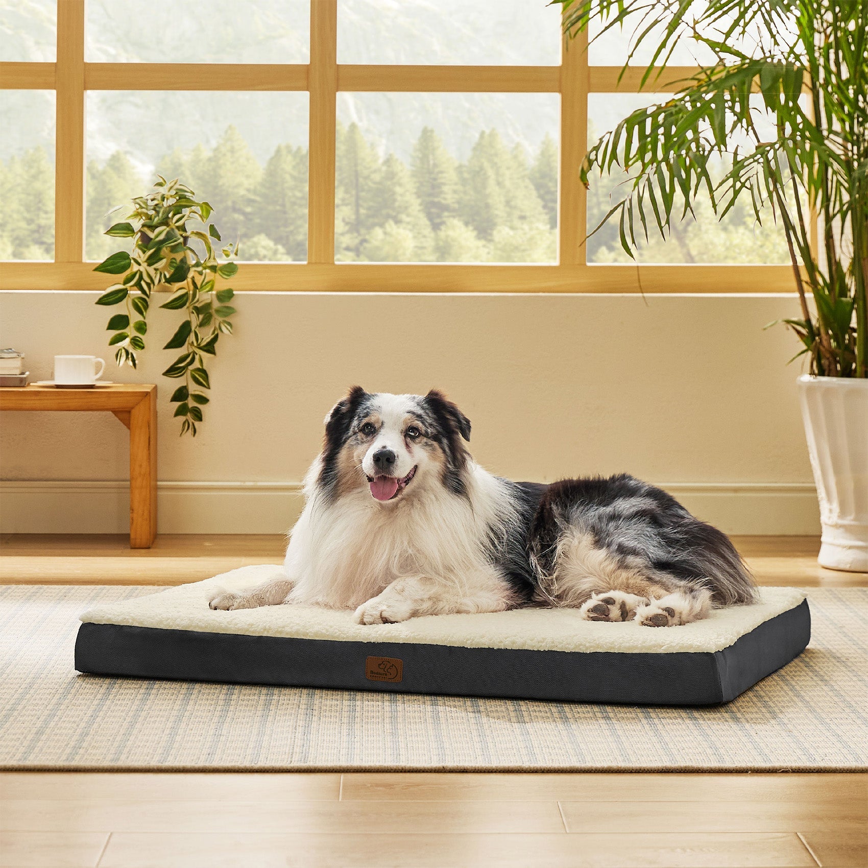 Large Orthopedic Washable Dog Bed