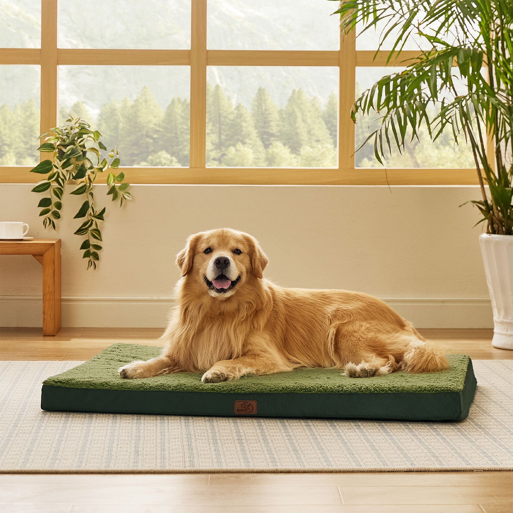 Large Orthopedic Washable Dog Bed