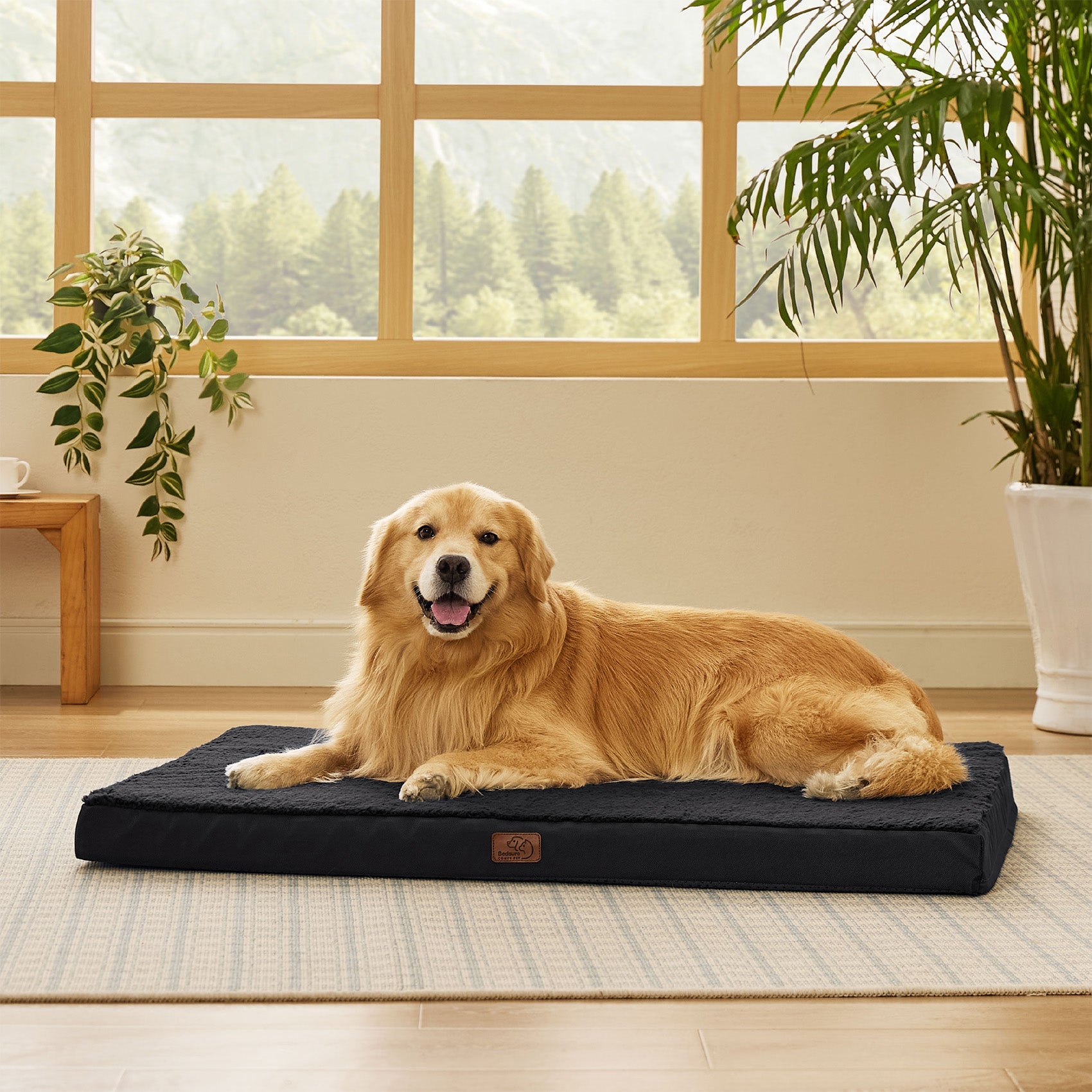 Large Orthopedic Washable Dog Bed