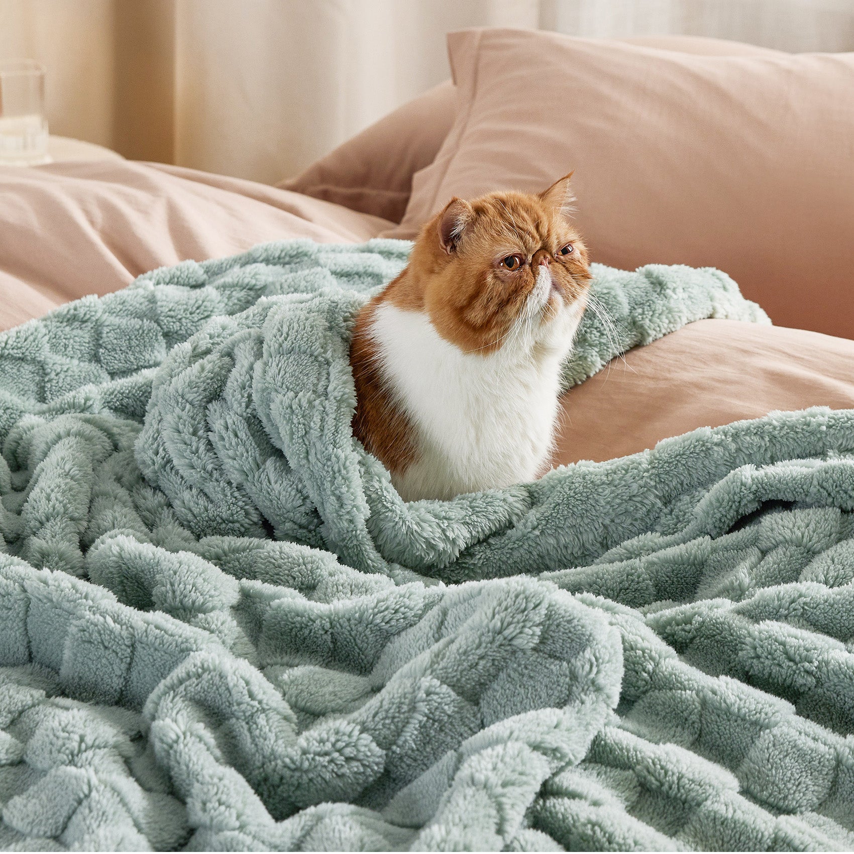 Jacquard Shaggy Sherpa Blanket