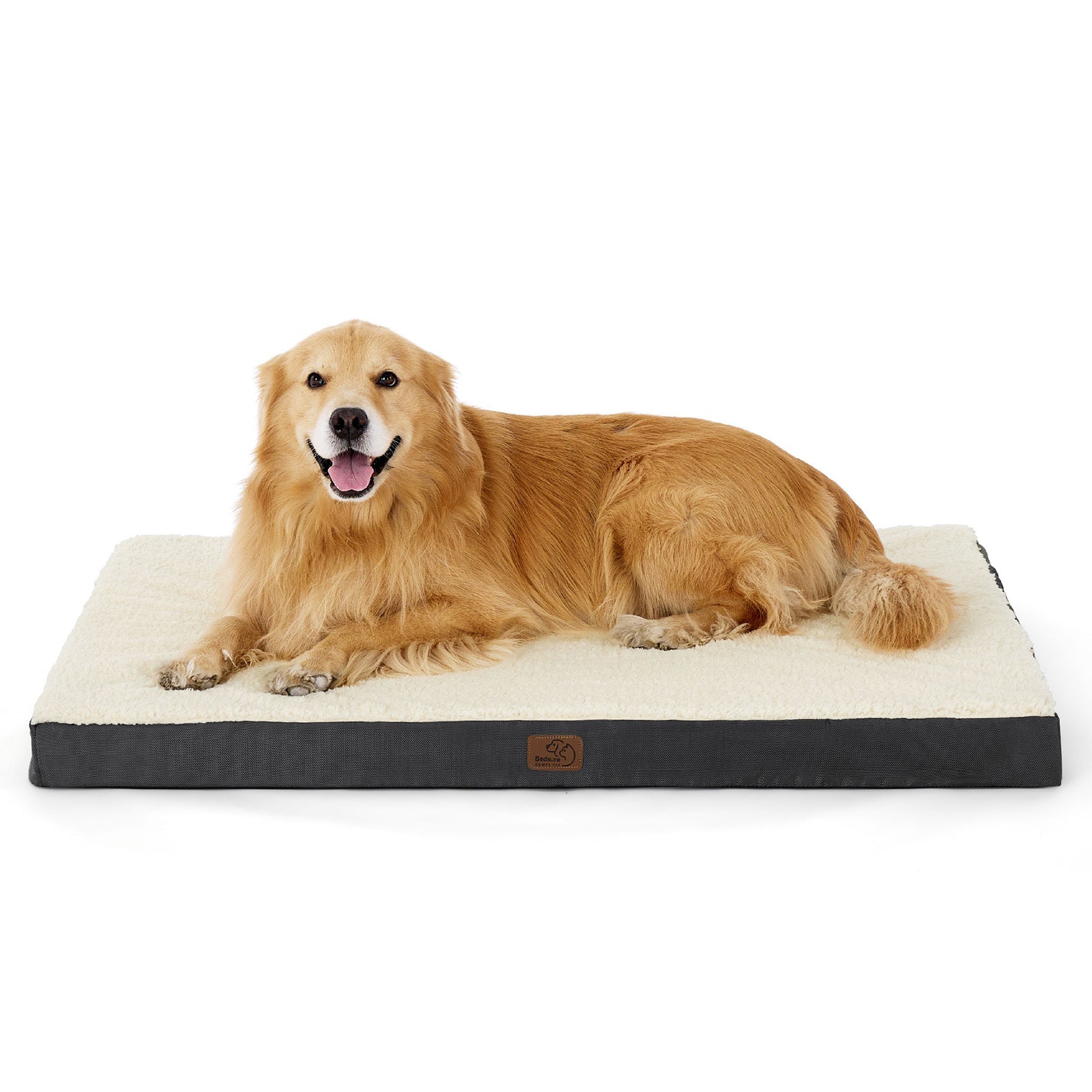 Large orthopedic dog bed, cream Sherpa top, dark gray base, featuring happy Golden Retriever.