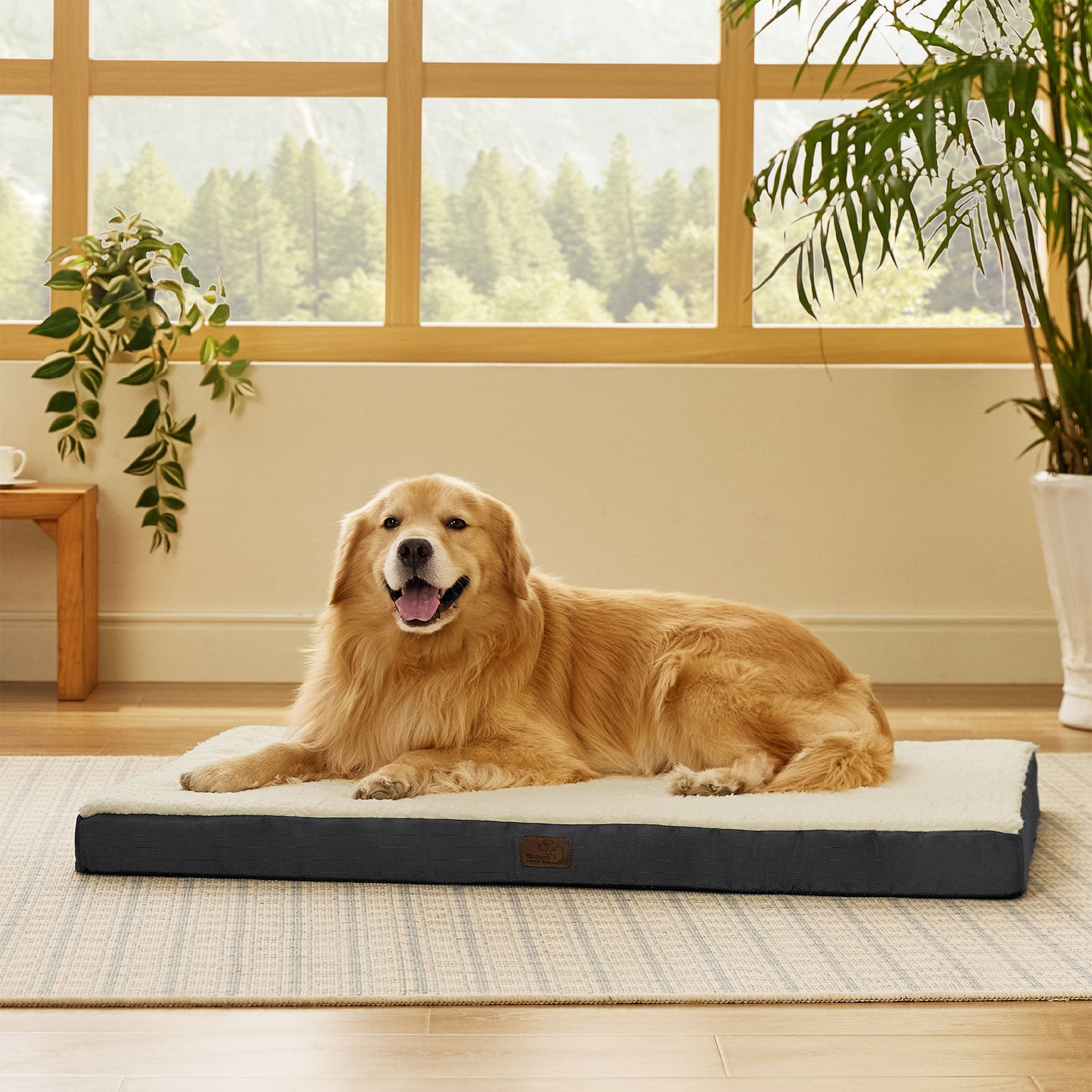 Large Orthopedic Washable Dog Bed