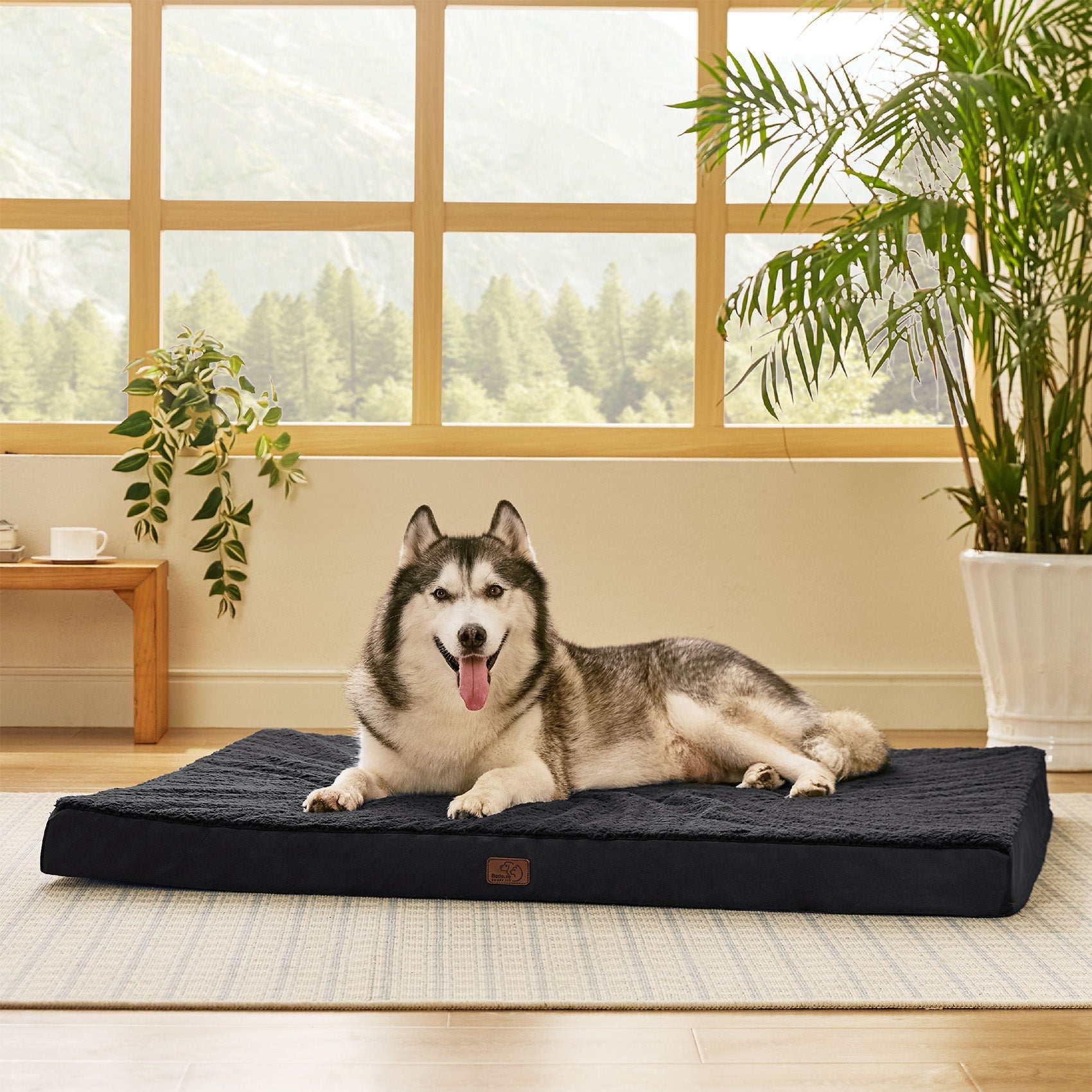 Large Orthopedic Washable Dog Bed