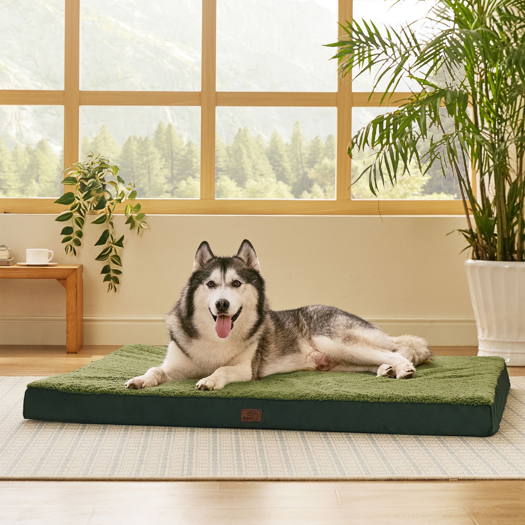 Large Orthopedic Washable Dog Bed