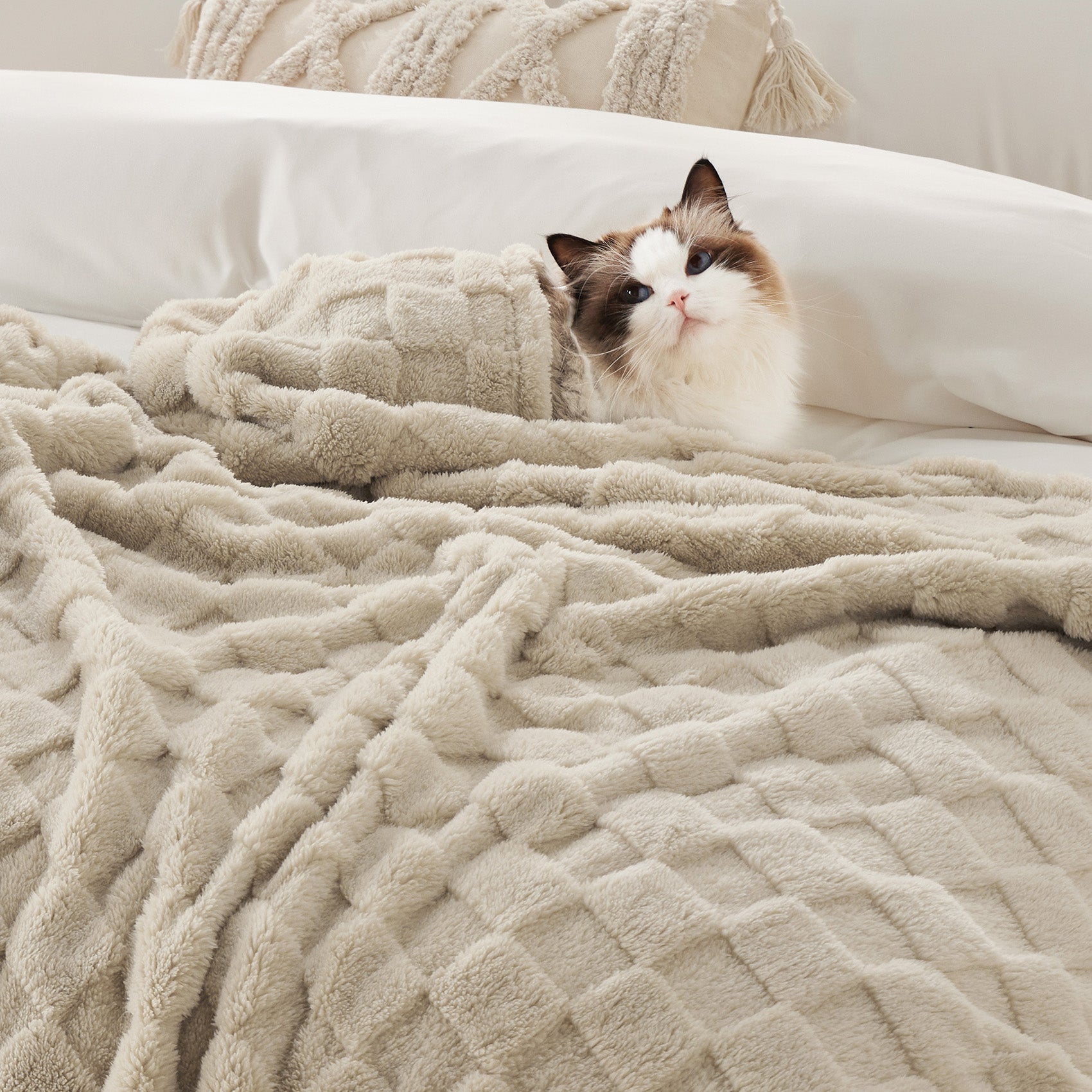 Jacquard Shaggy Sherpa Blanket