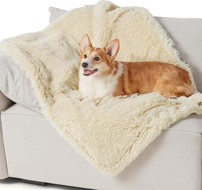 Cream shaggy faux fur waterproof pet blanket on white sofa with happy Corgi, showcasing comfort and texture.