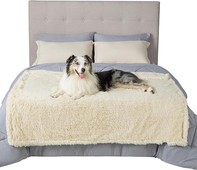 Cream plush waterproof pet blanket with blue merle Australian Shepherd dog on a bed, showcasing comfort and texture.
