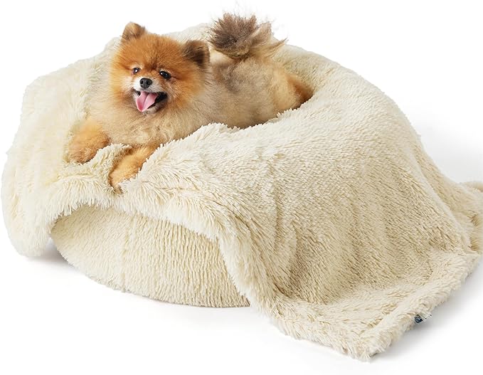 Cream shaggy faux fur waterproof pet blanket with happy Pomeranian on white background, showcasing comfort and texture.