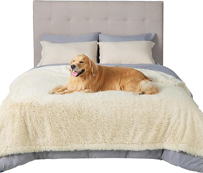 Cream shaggy faux fur waterproof pet blanket on bed with happy Golden Retriever, showcasing comfort and texture.