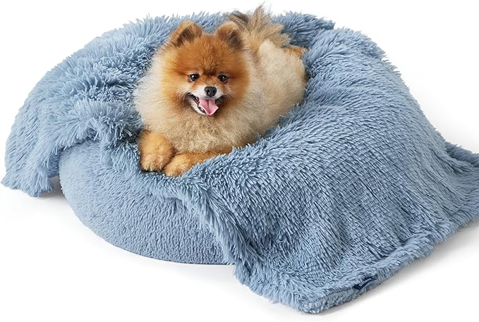 Pomeranian dog snuggled in a soft, light blue waterproof pet blanket on a white background.