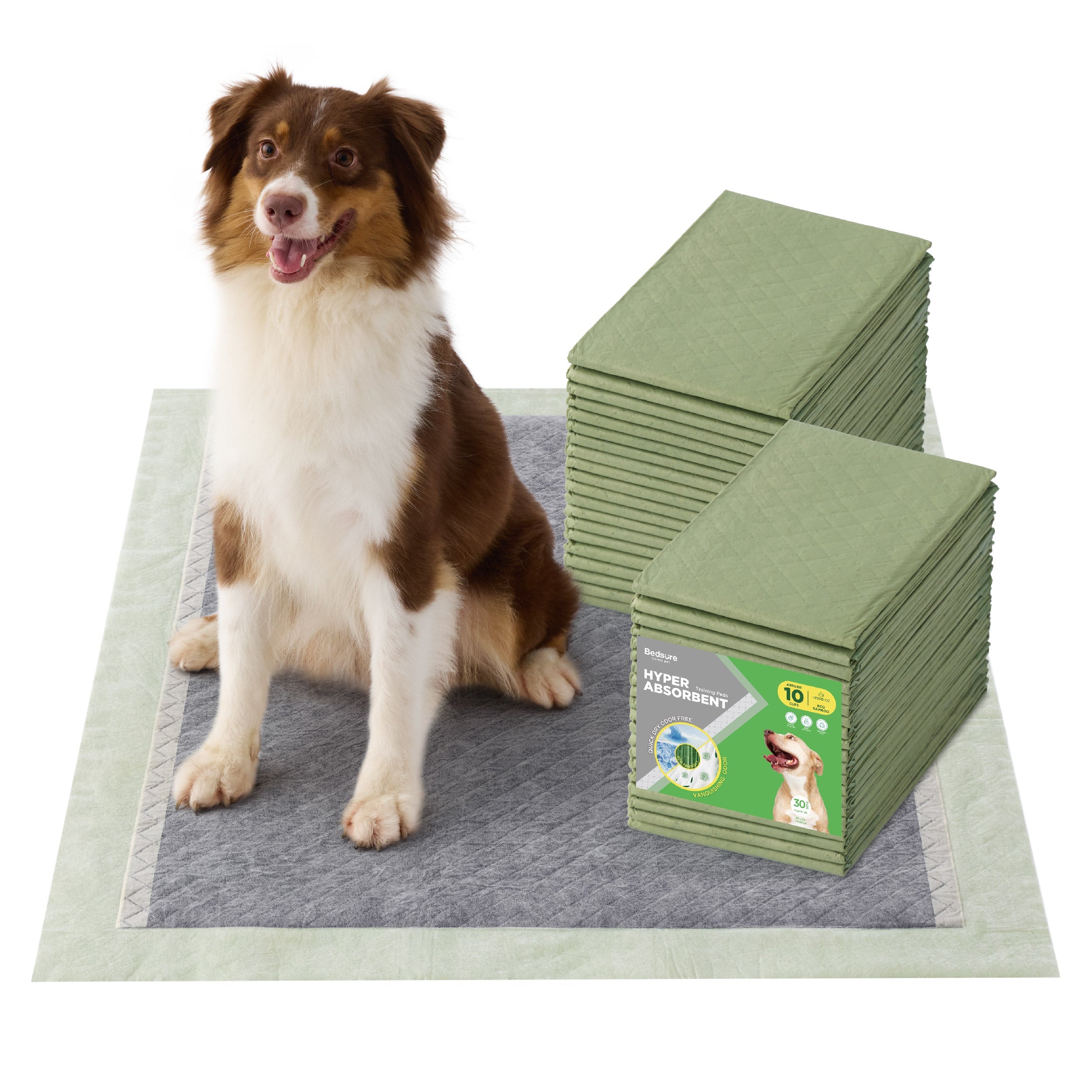Disposable Dog Pee Pads