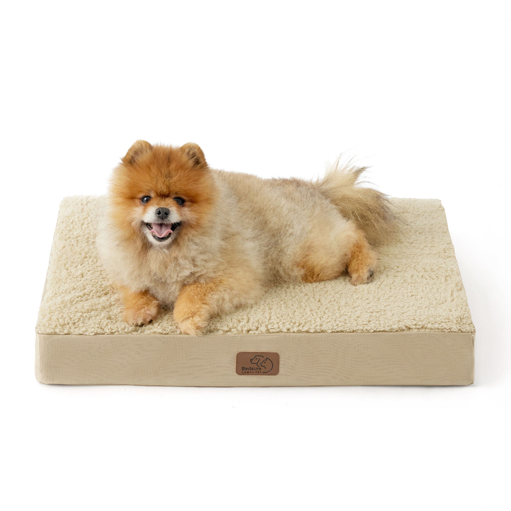 Large Orthopedic Washable Dog Bed