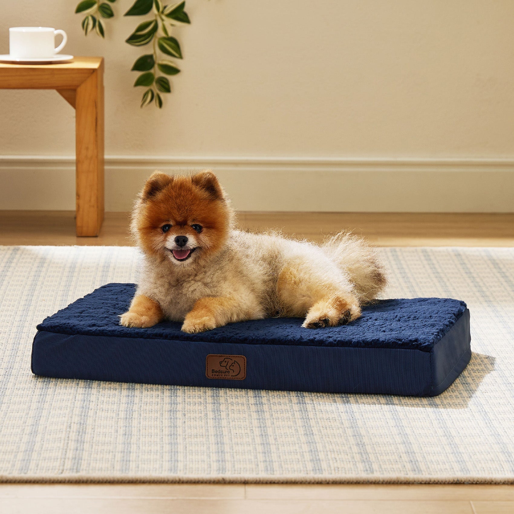 Large Orthopedic Washable Dog Bed