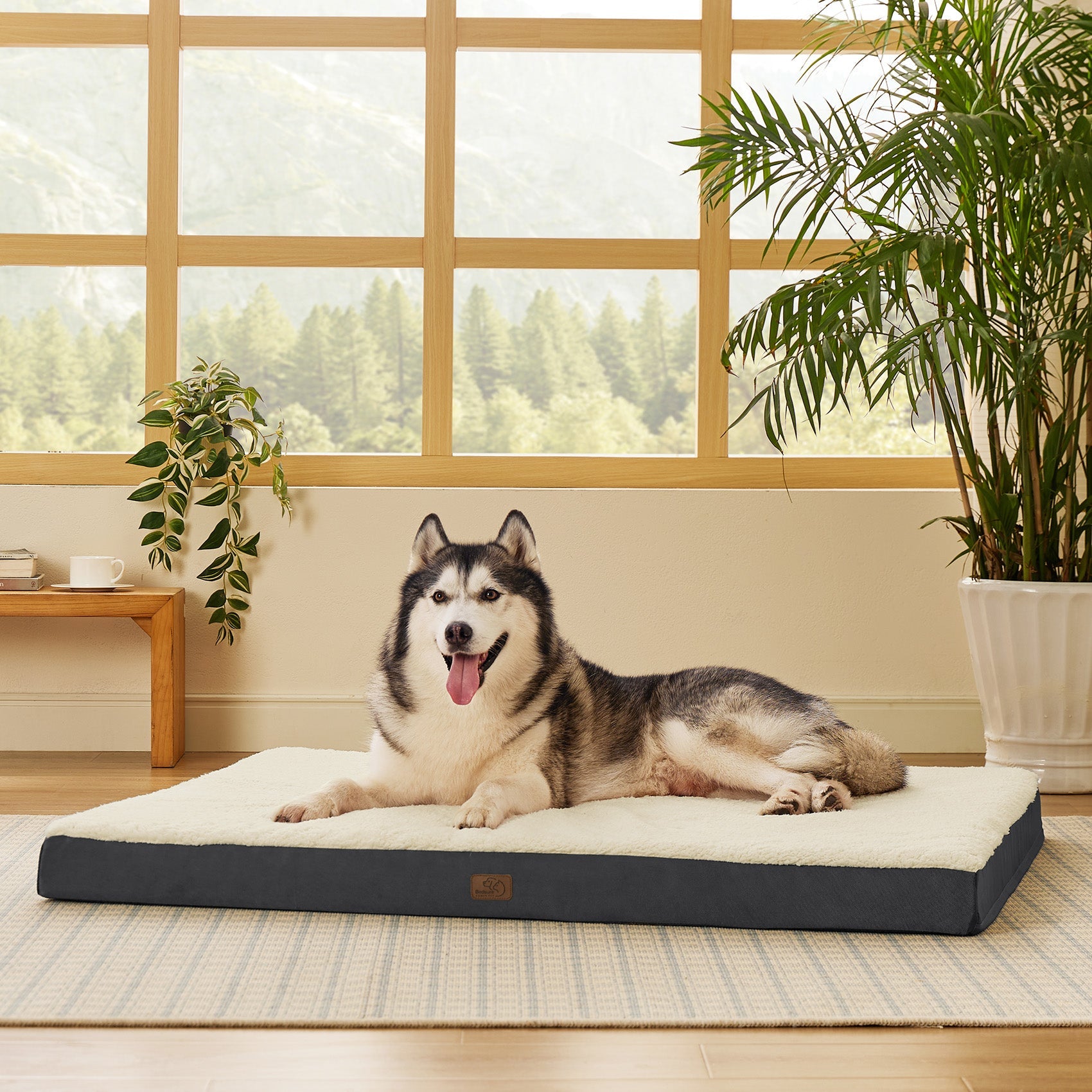 Large Orthopedic Washable Dog Bed