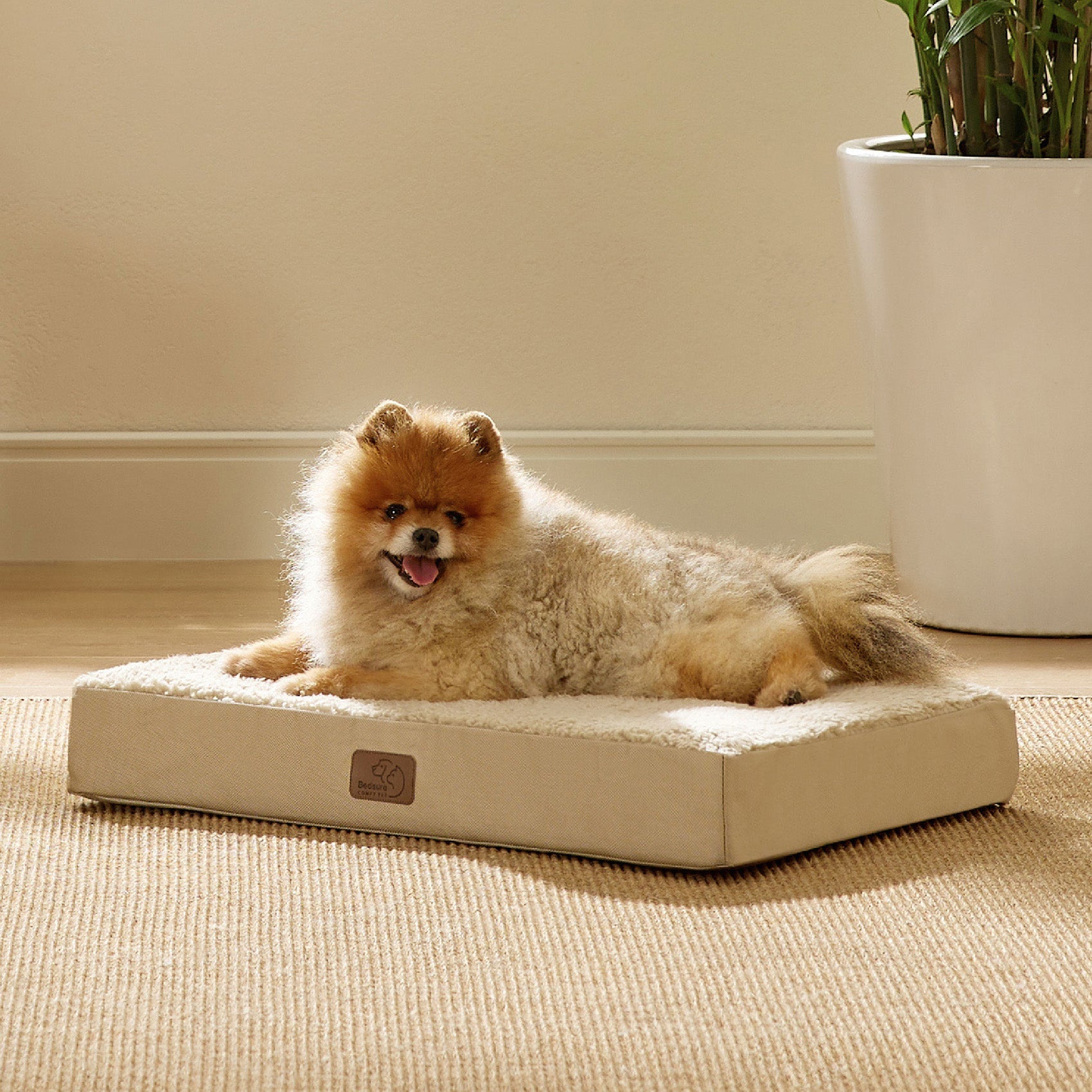 Large Orthopedic Washable Dog Bed