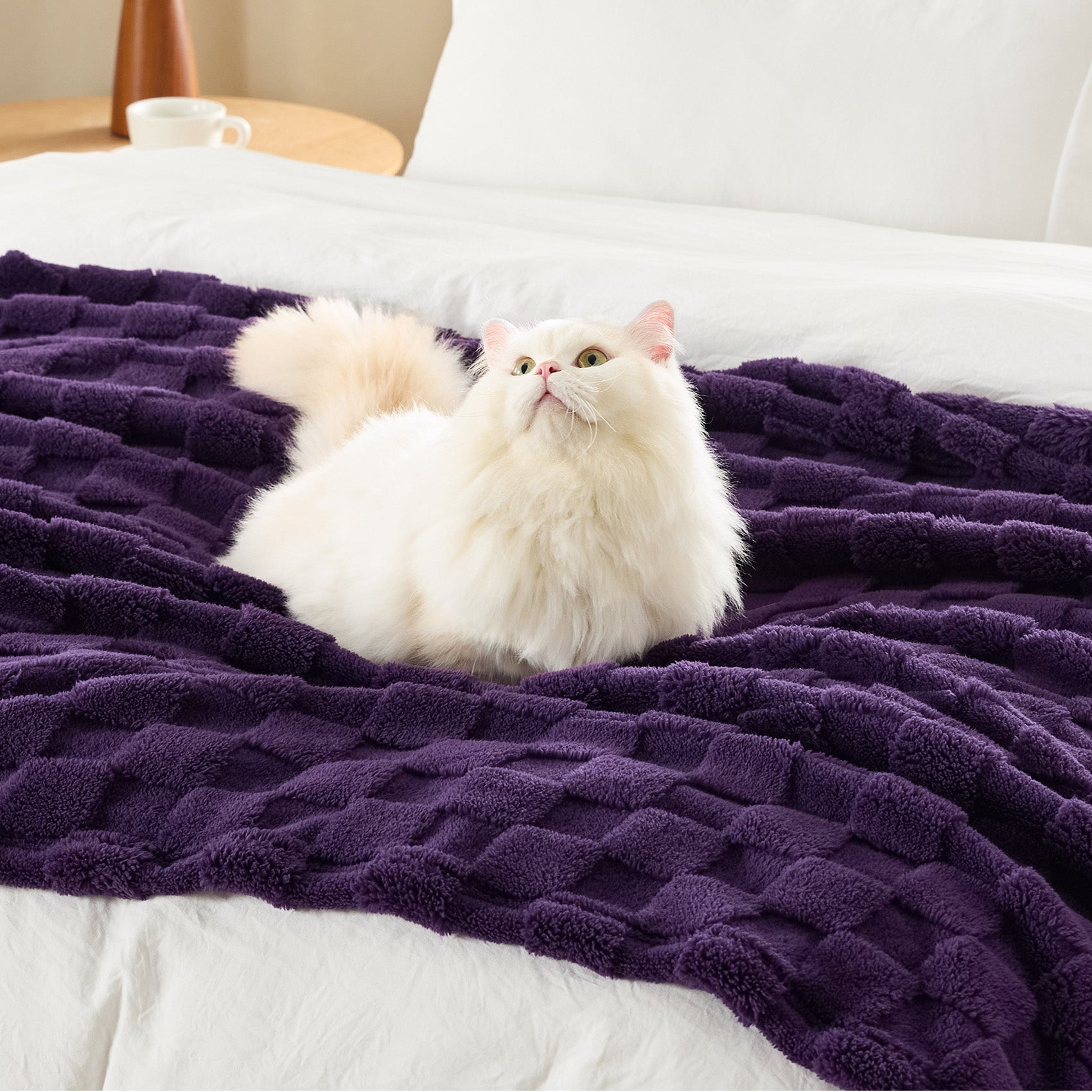Jacquard Shaggy Sherpa Blanket