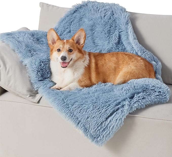 Happy Corgi resting on a soft, light blue, shaggy waterproof pet blanket on a grey sofa, showcasing comfort.