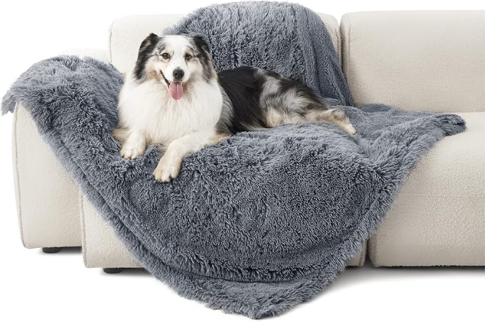 Happy blue merle dog on dark grey shaggy waterproof pet blanket on cream sofa, showcasing plush texture and comfort.