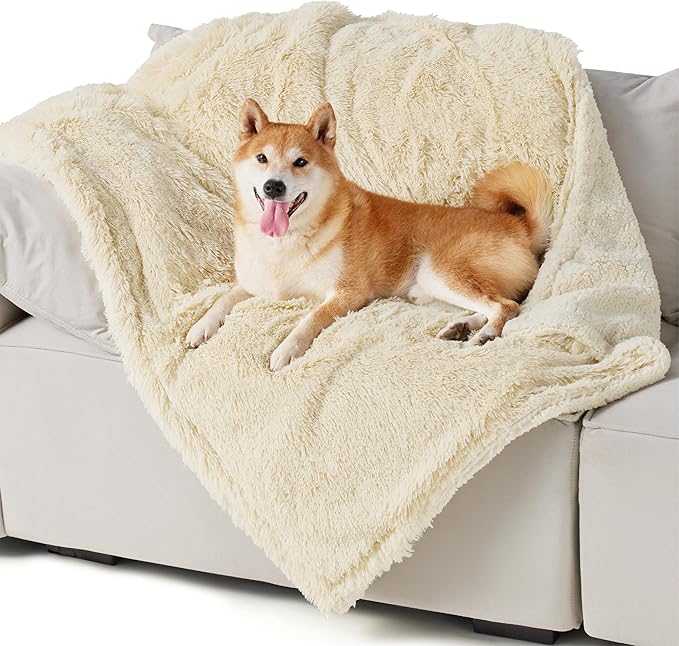 Cream shaggy faux fur waterproof pet blanket with happy Shiba Inu on light grey sofa, showcasing comfort and texture.
