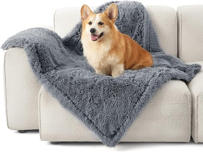 Happy Corgi on dark grey shaggy waterproof pet blanket on cream sofa, highlighting comfort and texture.