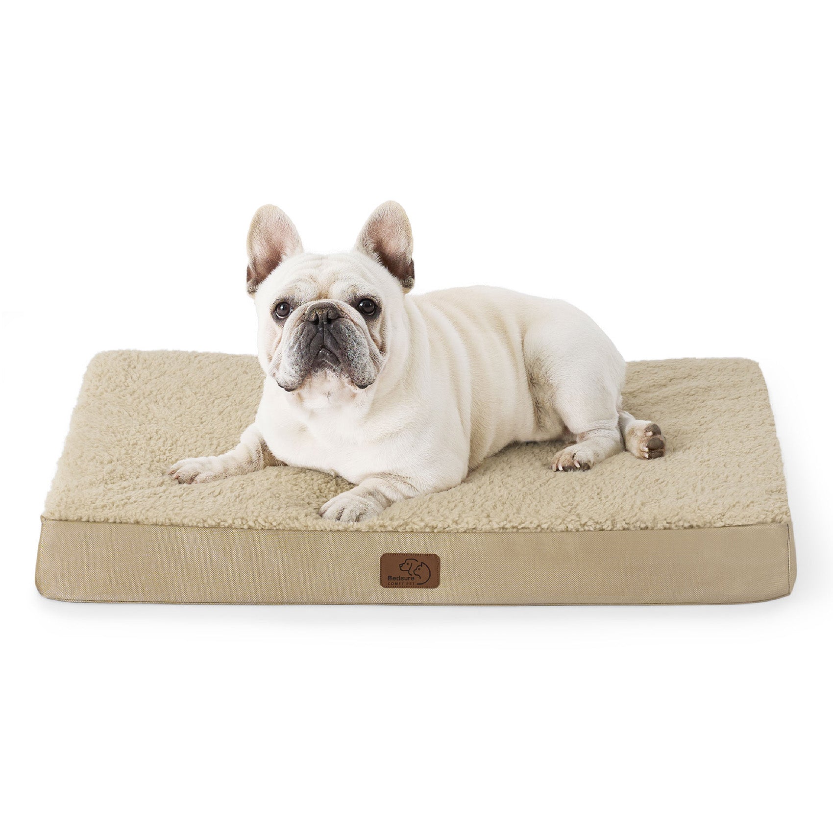 Large Orthopedic Washable Dog Bed