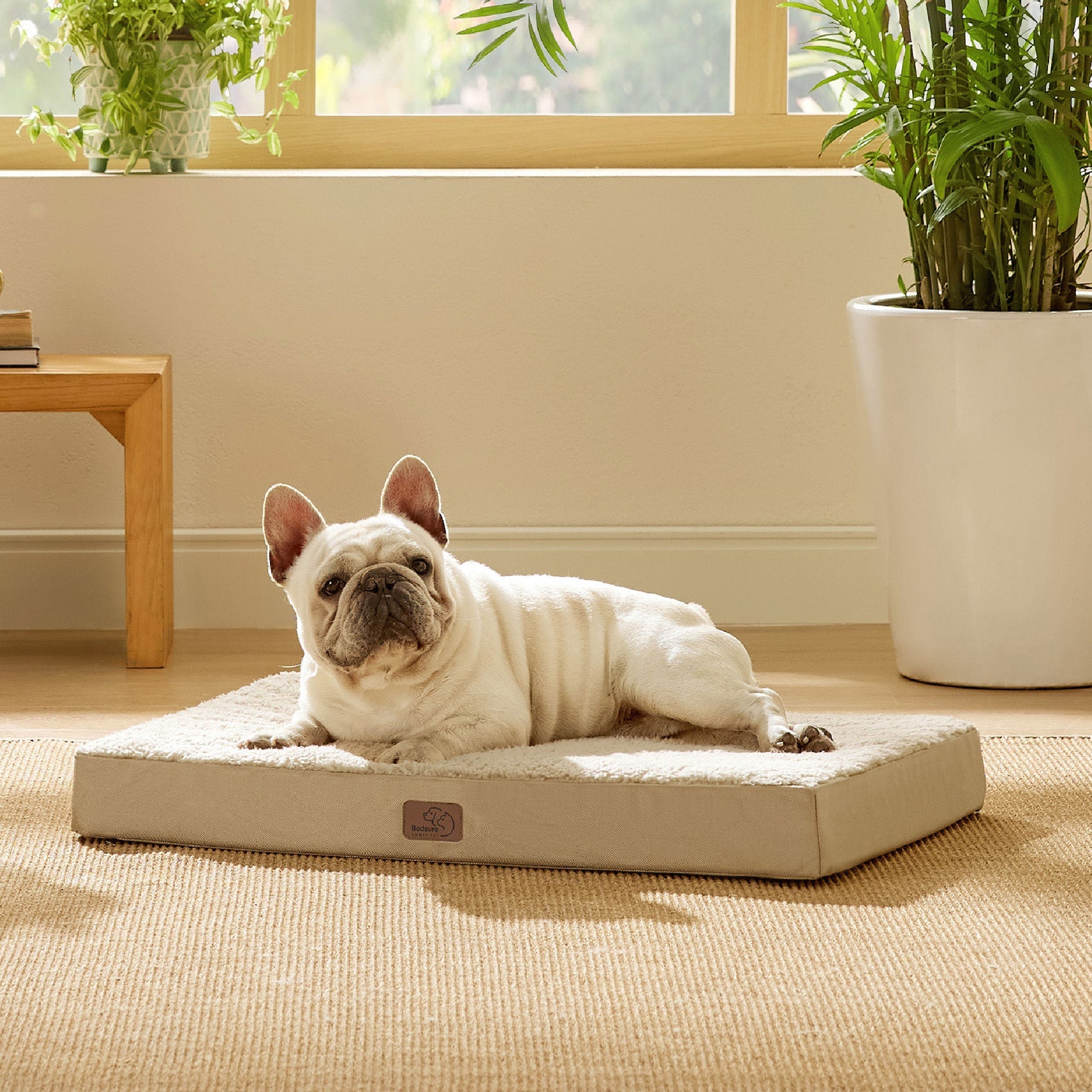 Large Orthopedic Washable Dog Bed