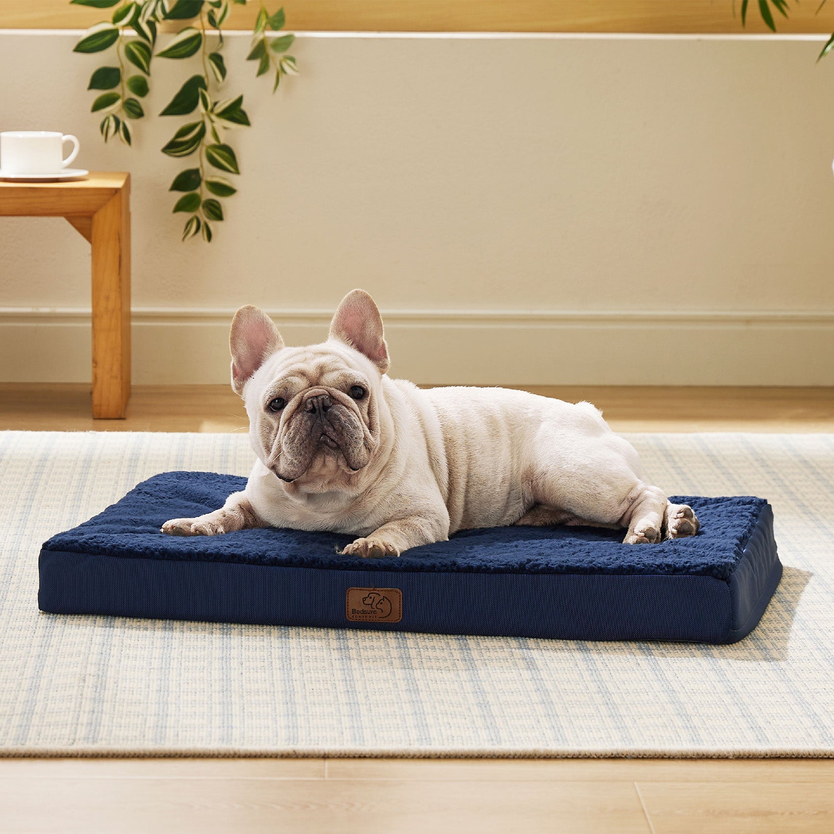 Large Orthopedic Washable Dog Bed
