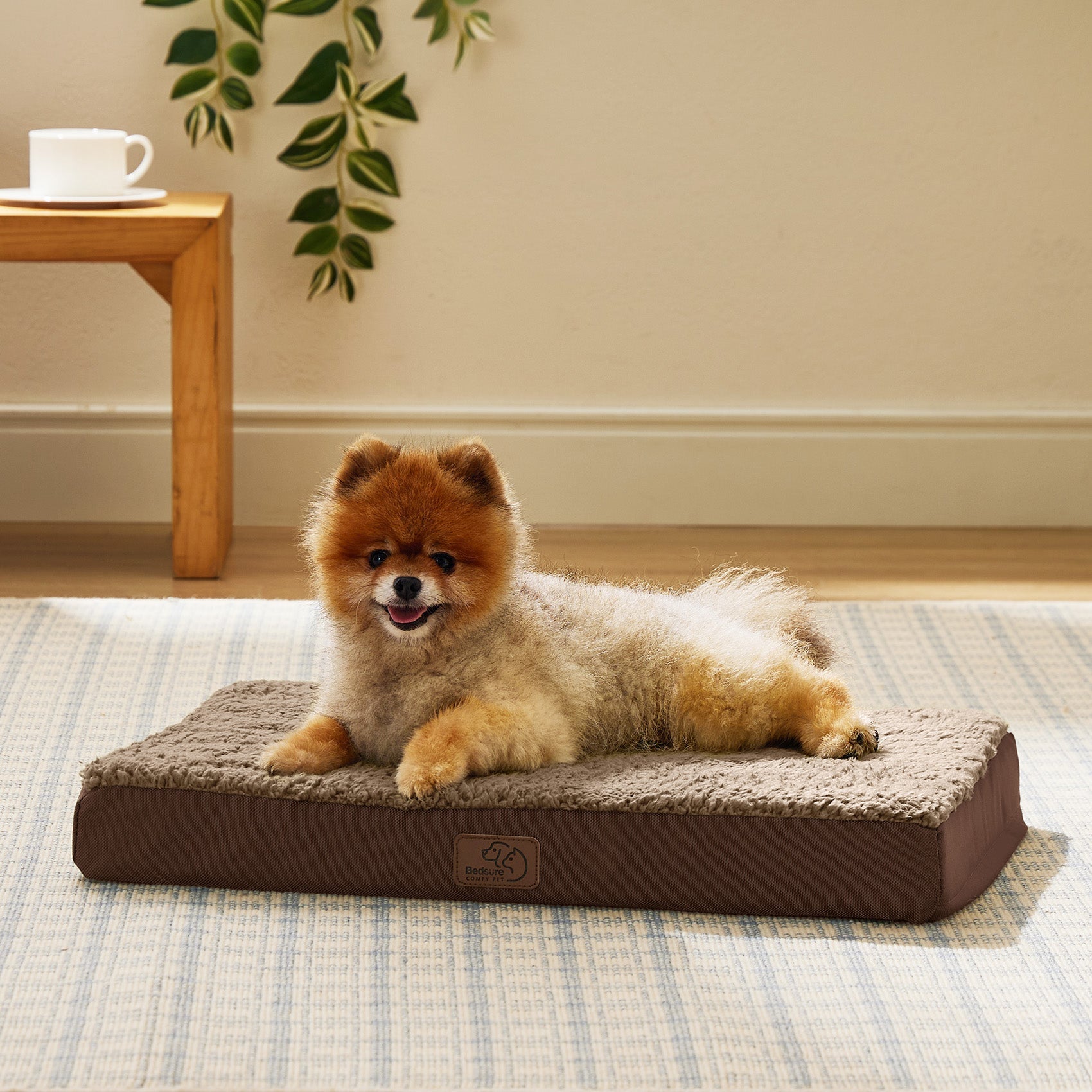Large Orthopedic Washable Dog Bed