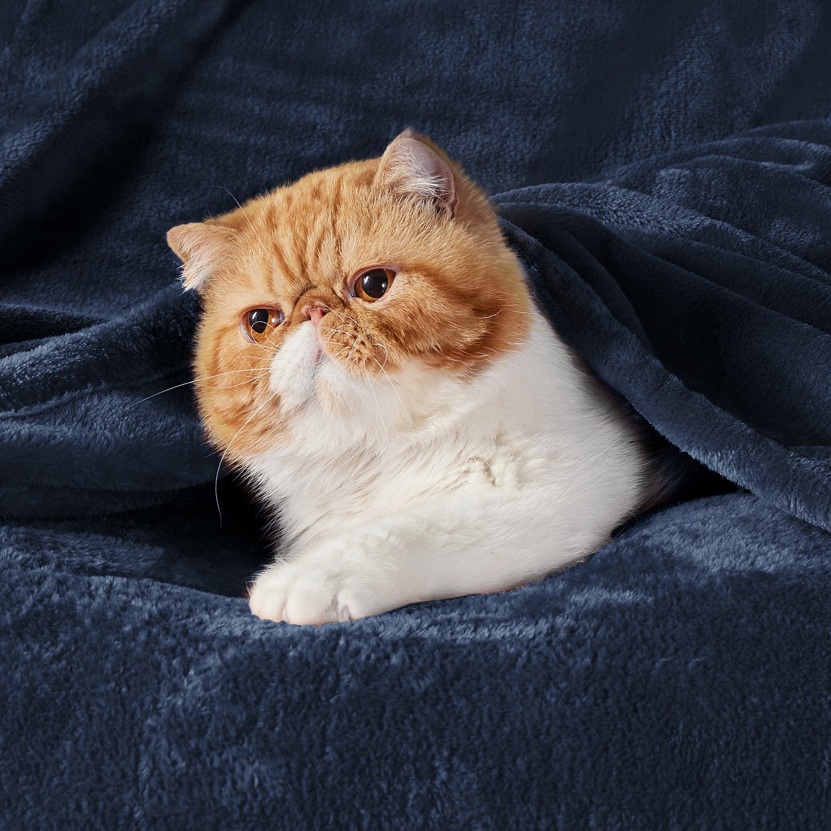 Flannel Fleece Blanket 280gsm