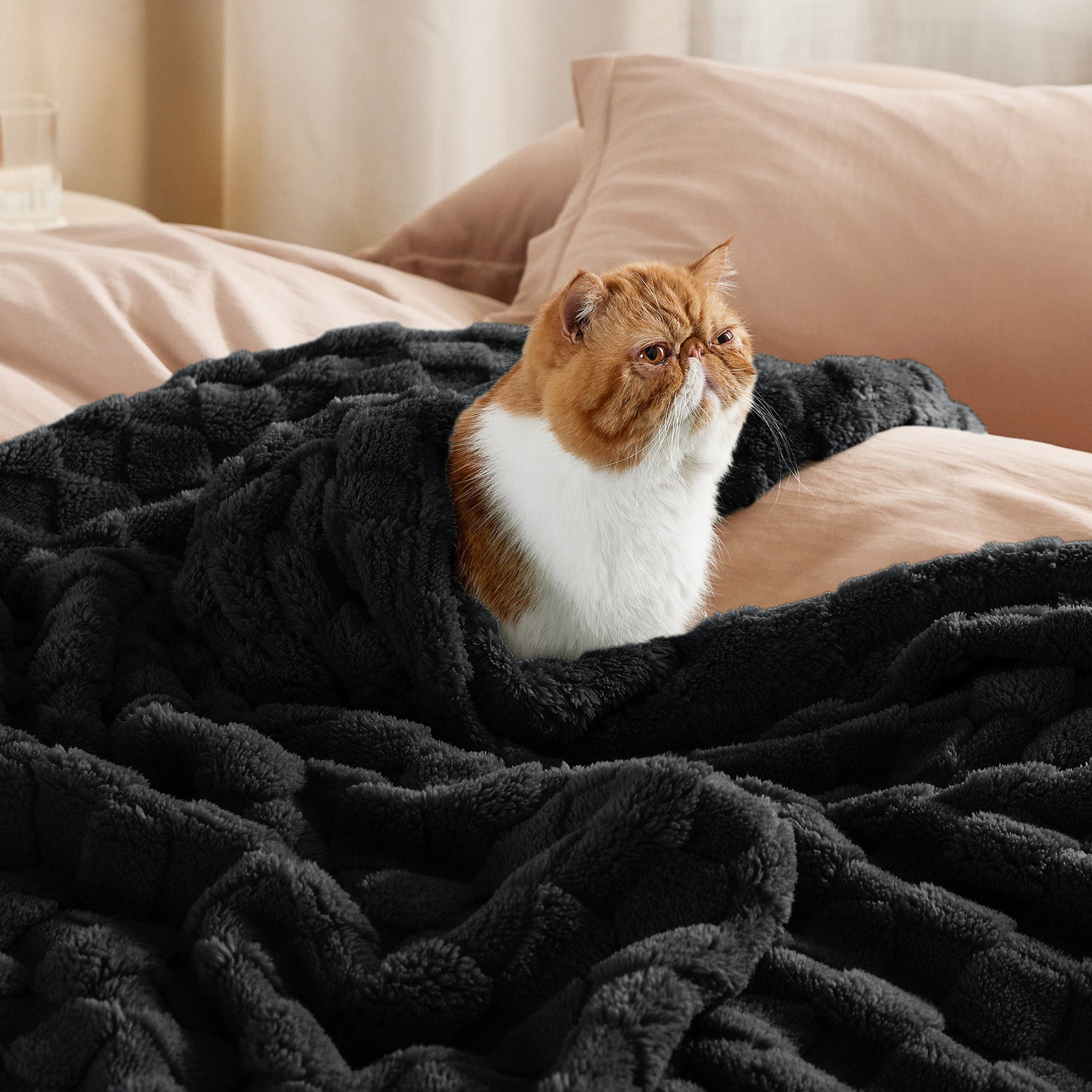 Jacquard Shaggy Sherpa Blanket