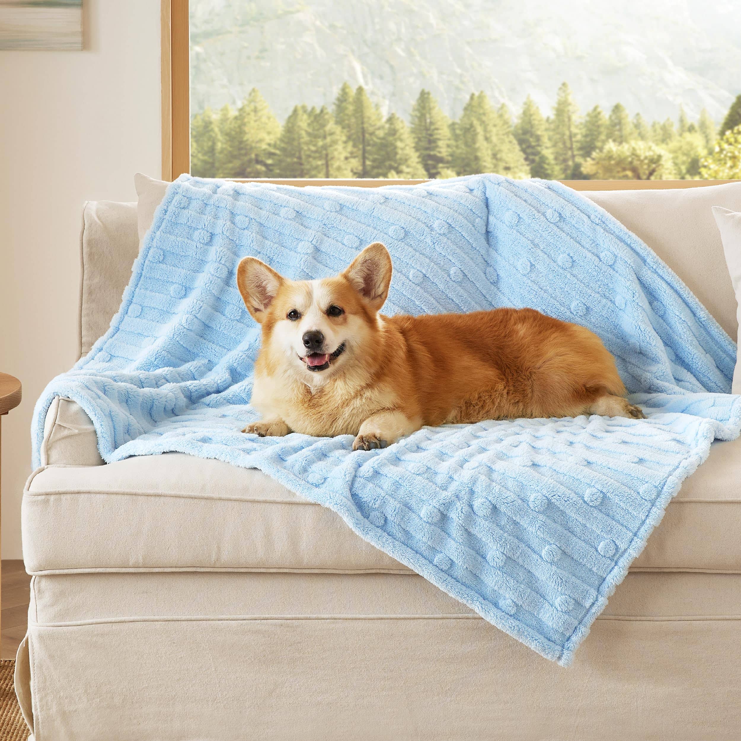 Light blue Jacquard fleece pet blanket with raised dot pattern on a cream sofa with a happy Corgi resting on it.