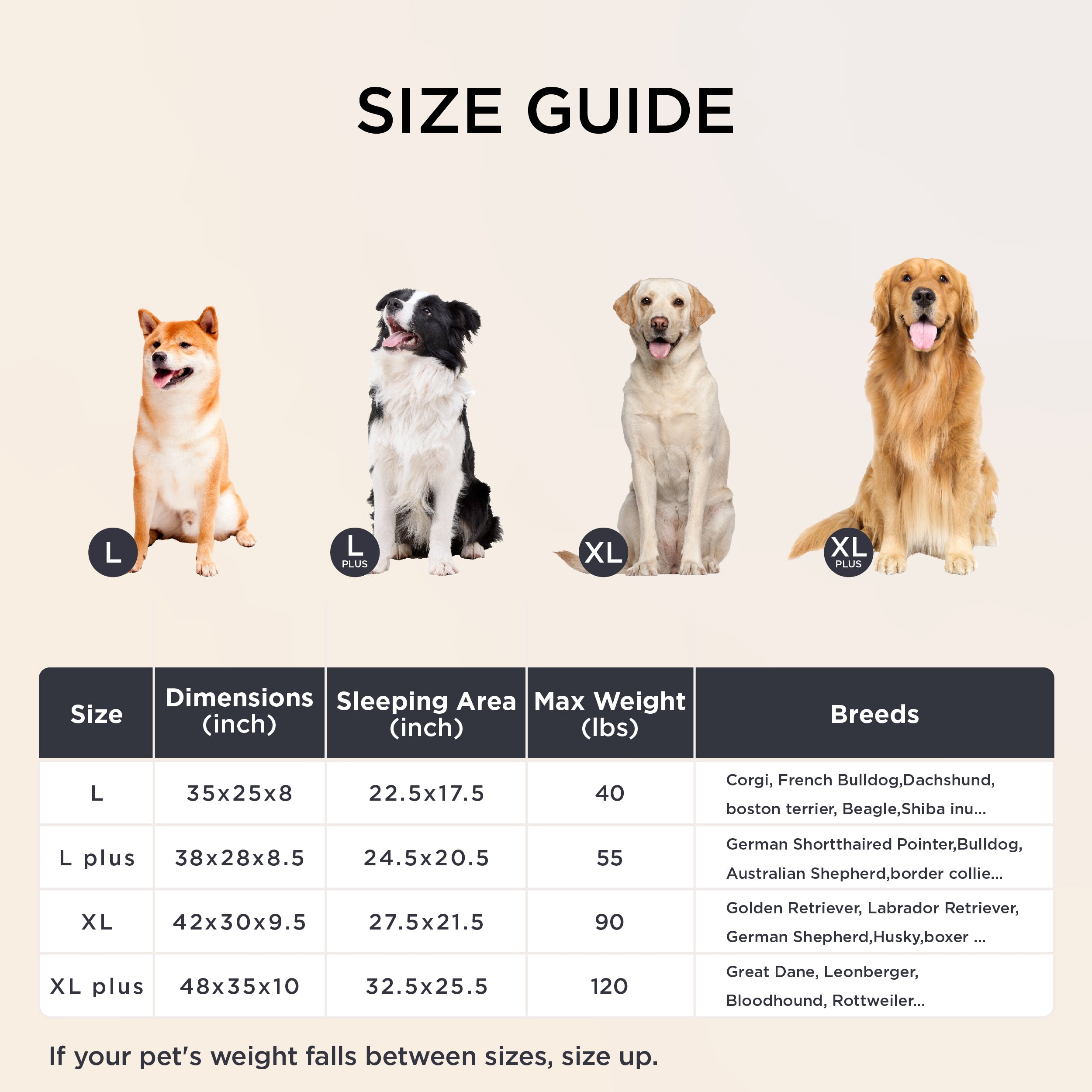 Supportive Dog Couch