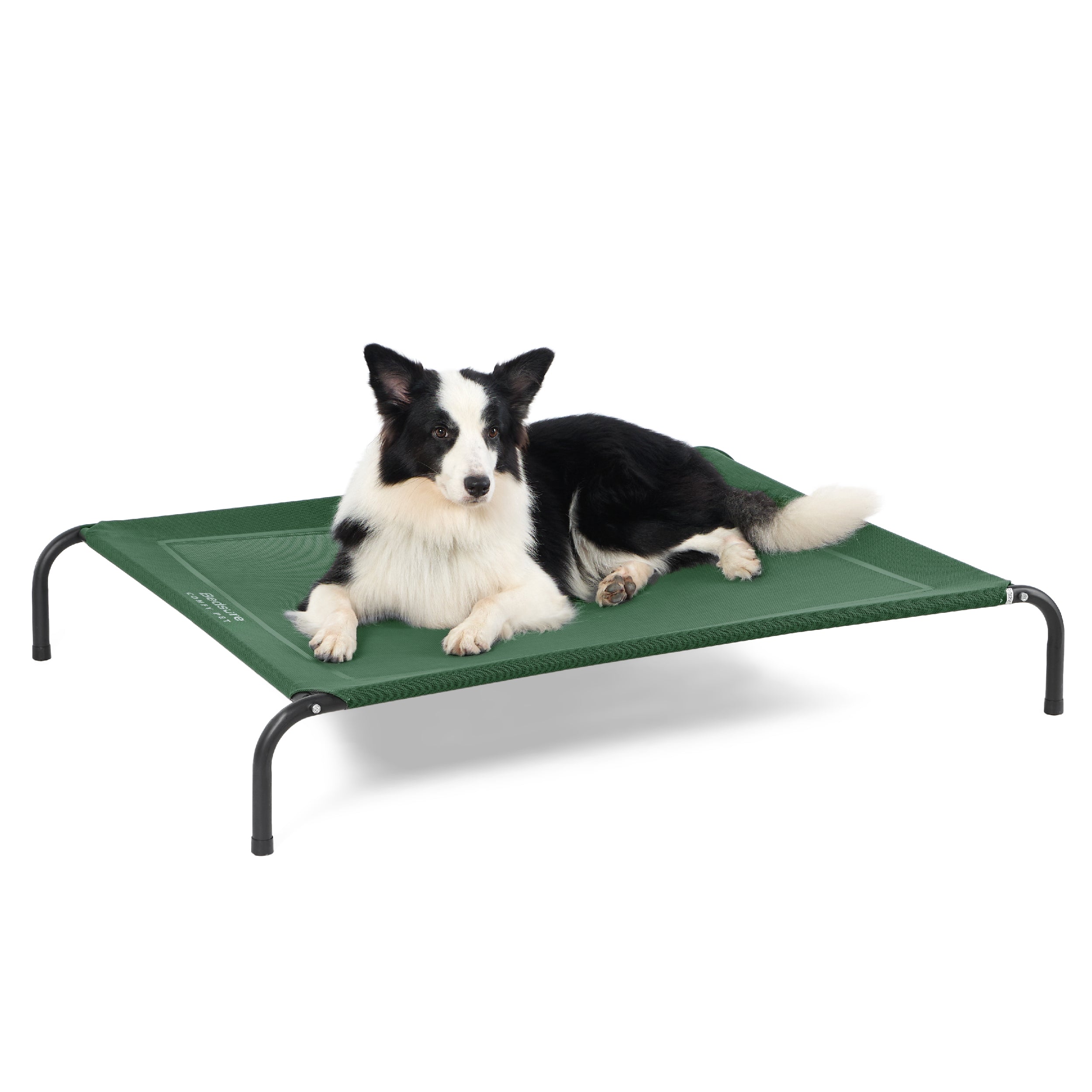 Elevated Dog Bed