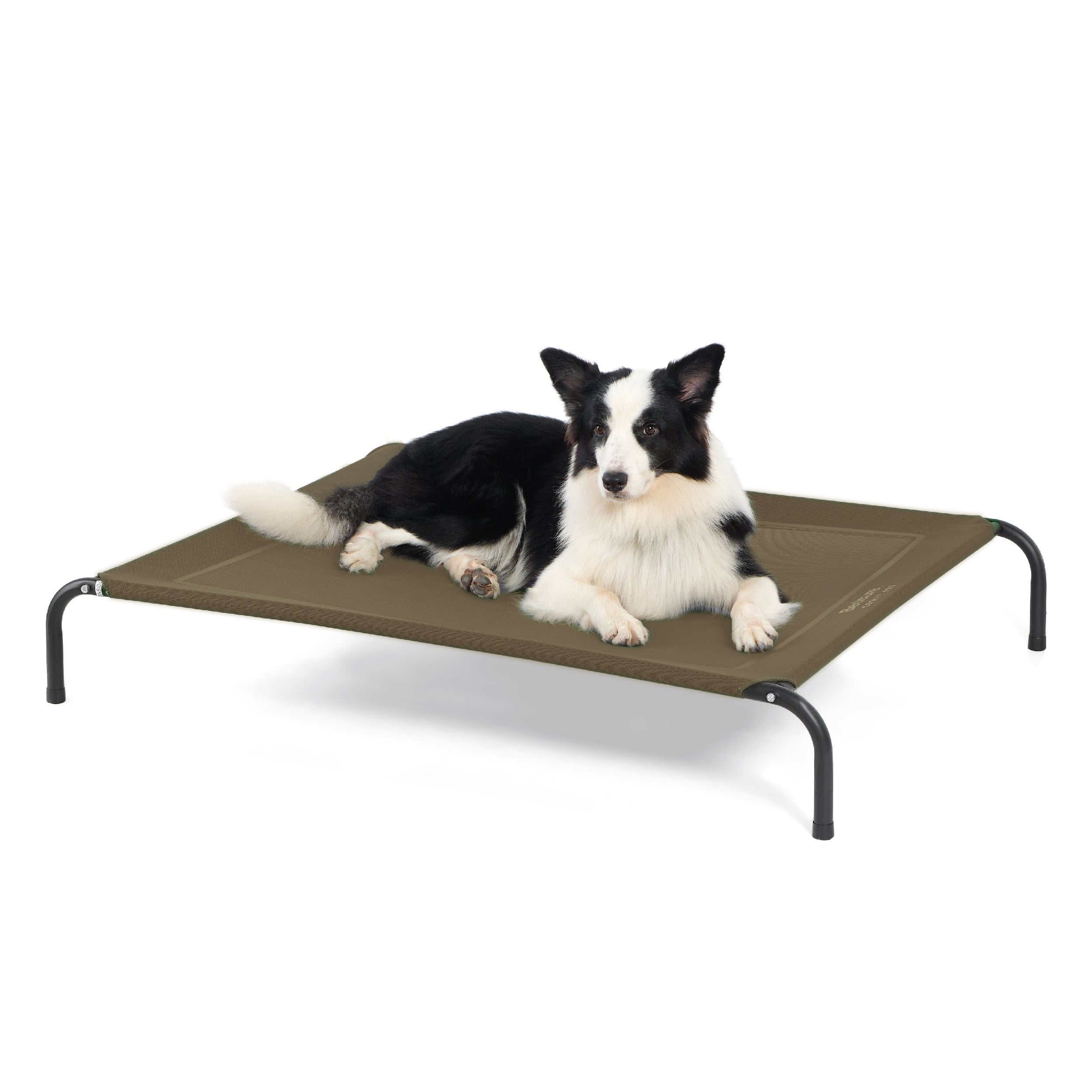 Elevated Dog Bed