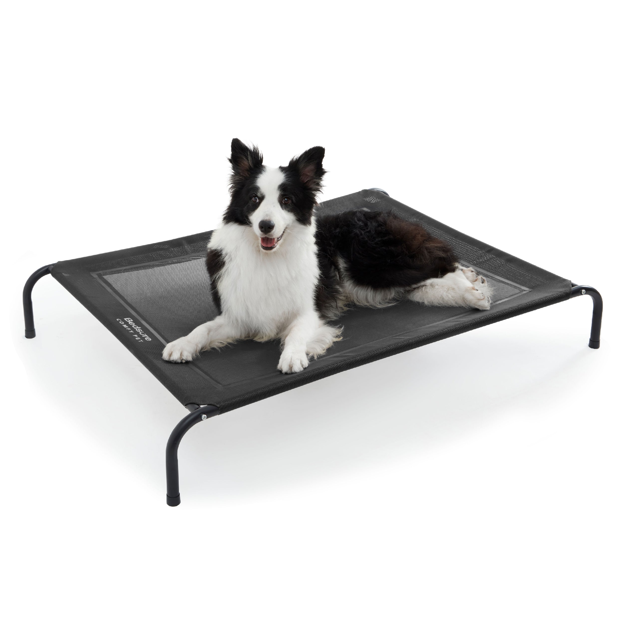 Elevated Dog Bed