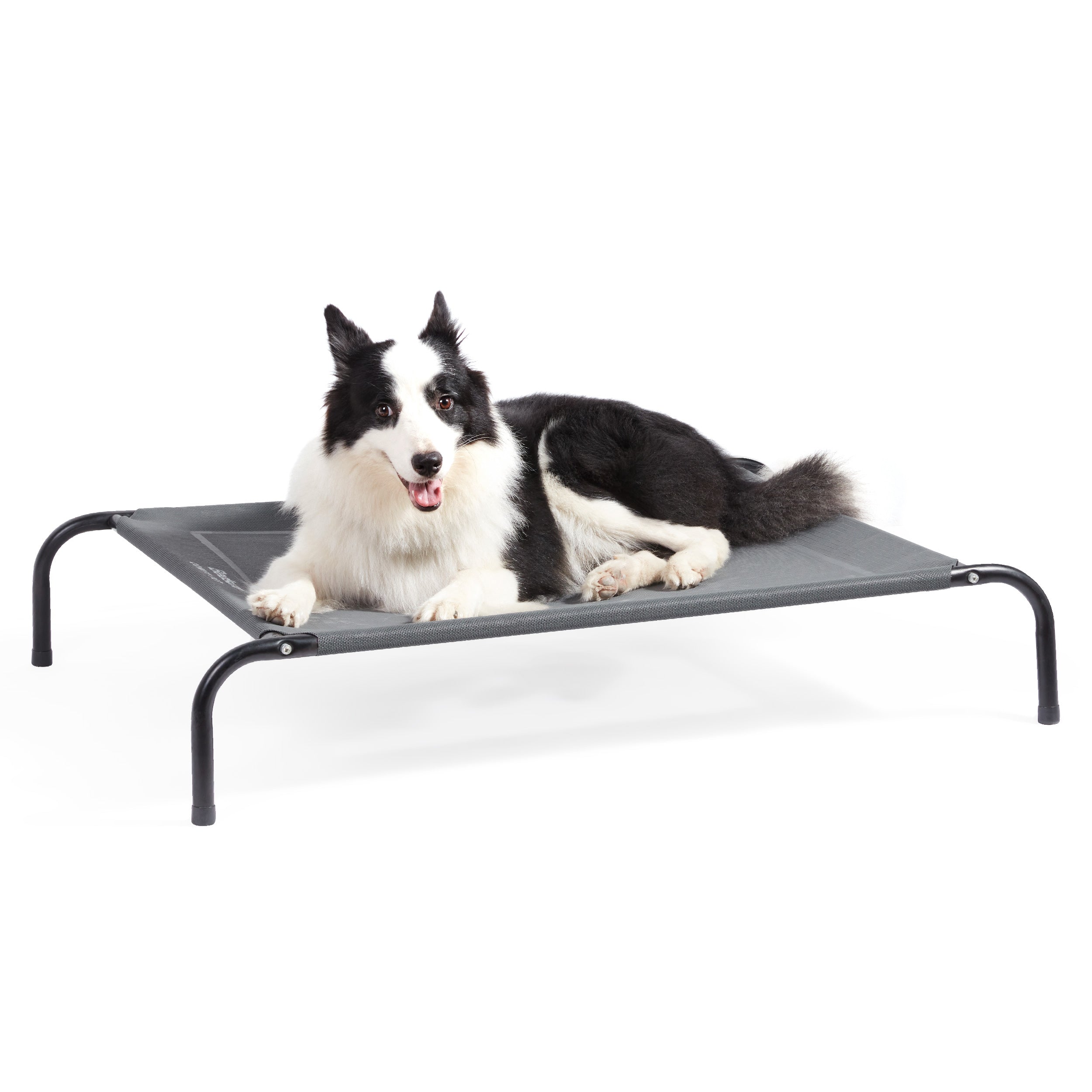 Elevated Dog Bed